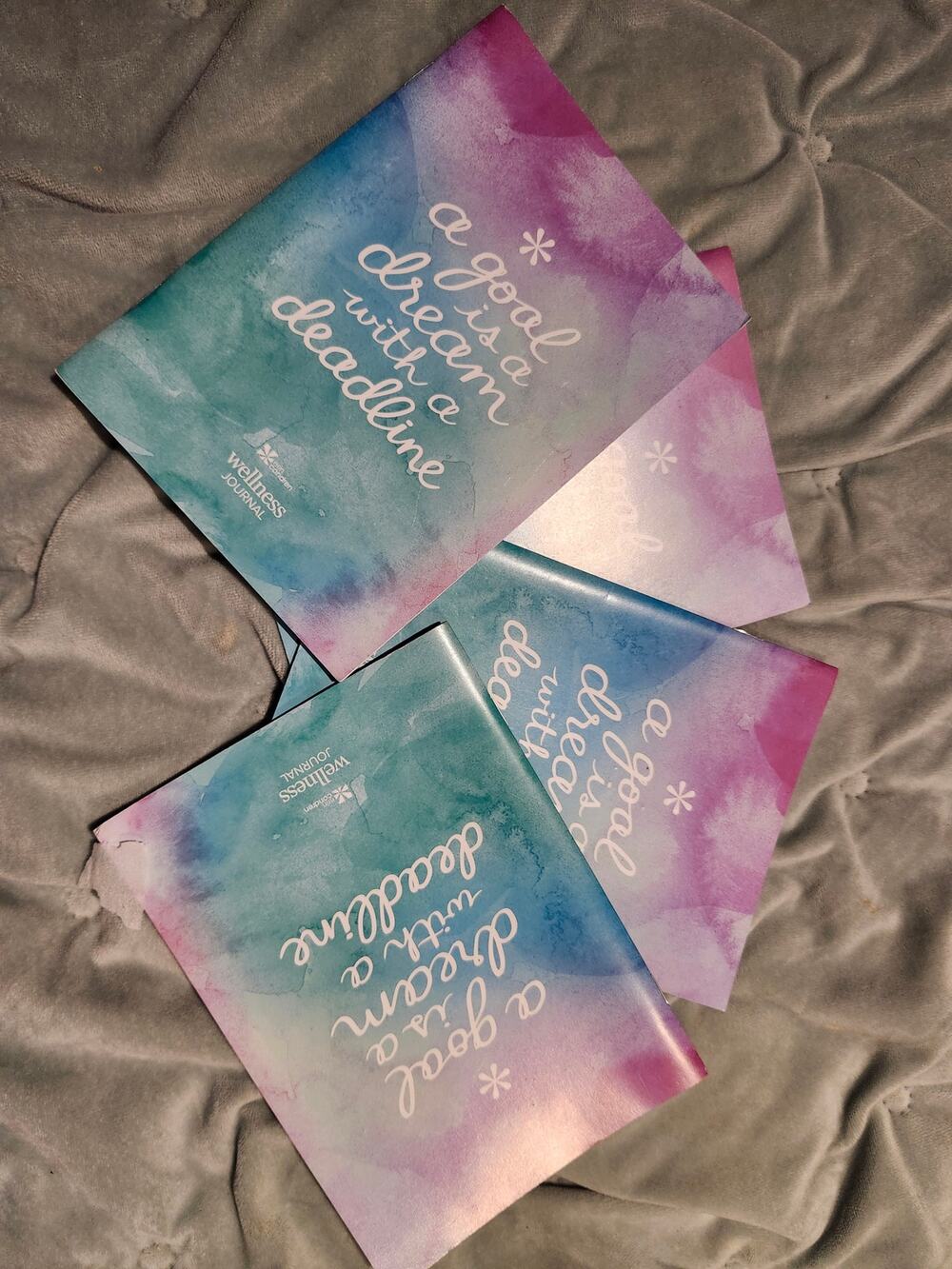 Erin Condren Wellness Journal 2017 A Goal Is A Dream With A Deadline 16 Pages